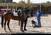 مسابقات منطقه‌ای پرش با اسب در قم