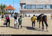 مسابقات منطقه‌ای پرش با اسب در قم