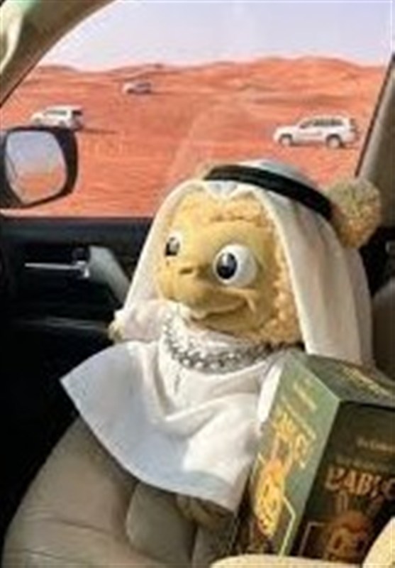 اسباب بازی , صنایع فرهنگی , کشور امارات متحده عربی , عربستان سعودی ,