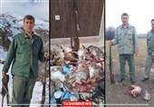 تداوم برخورد با شکارچیان غیرمجاز در ترکمانچای و سراب