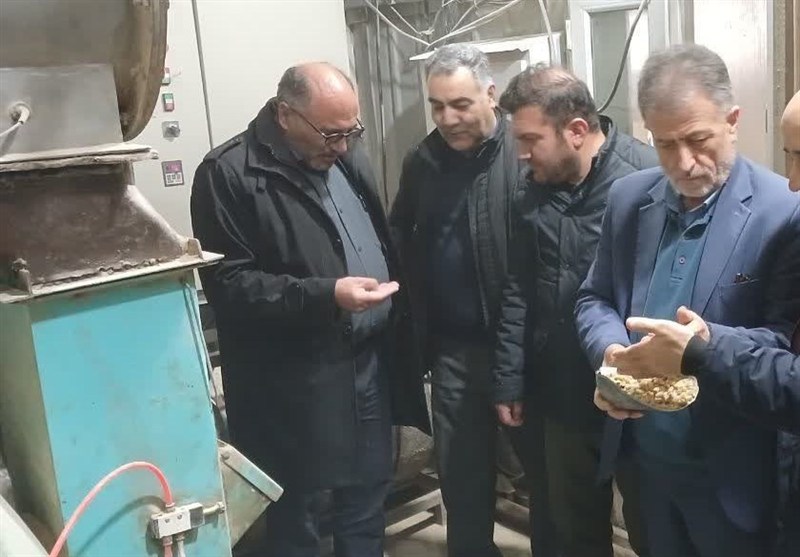 تحویل کنسانتره بامبو با قیمت نیمه یارانه ای به عشایر