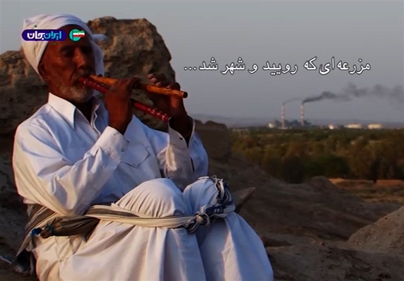 مزرعه ای که رویید و شهر شد