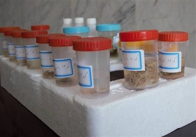 بانک ژن بستری برای تهیه نقشه ژنتیکی گونه‌های جانوری