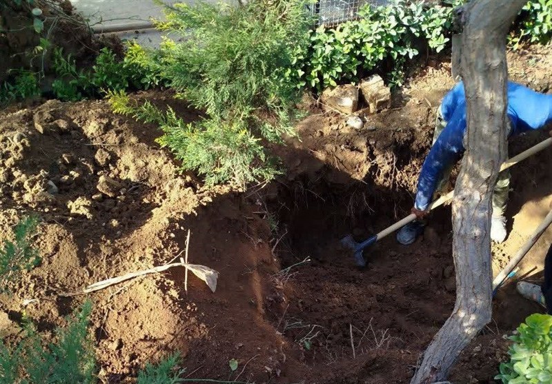 قتل در تهران , پلیس آگاهی , 