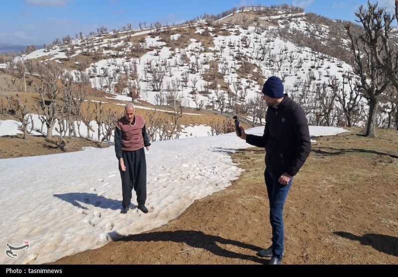 اخبار بانه , اخبار استان کردستان , 