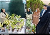 تولیدات بانوان کارآفرین بوشهری در نمایشگاه ایران ماهر عرضه شد