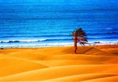 ساحل «دَرَک»بلوچستان؛جایی که کویر و دریا در آغوش هم دیدنی می‌شوند+فیلم