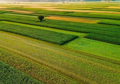 یکپارچه‌سازی اراضی کشاورزی 60 هکتاری ‌گرمسار آغاز شد