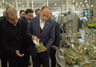 سرمایه‌گذاری میلیون‌دلاری برای تقویت صادرات غیرنفتی کشاورزی