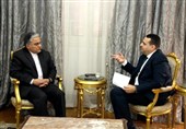 Iranian Official: Decision Made to Exchange Ambassadors with Egypt