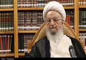 تأکید آیت‌الله مکارم‌شیرازی بر تسریع در انتخاب رهبری