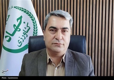کشت یکپارچه گیاهان دارویی در کهگیلویه و بویراحمد کلید خورد