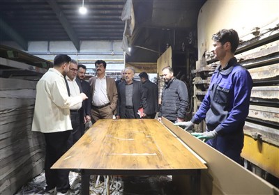 توسعه کشت صنوبر در کشت و صنعت مغان