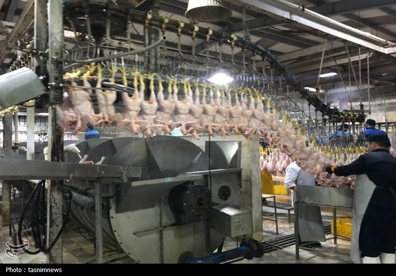 اخبار سنندج , فرماندار سنندج , اخبار استان کردستان ,