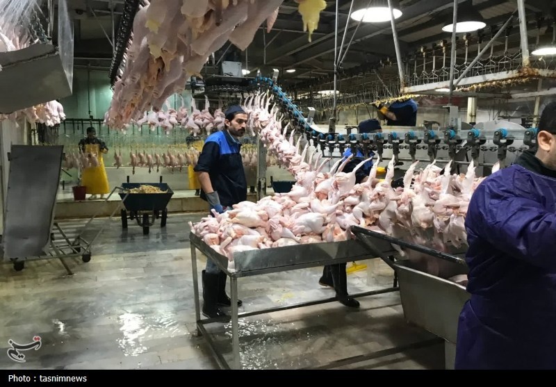 اخبار سنندج , فرماندار سنندج , اخبار استان کردستان ,