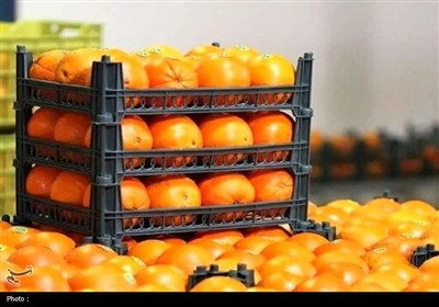 ذخیره‌سازی میوه شب عید و تأمین خرمای رمضان در خراسان جنوبی