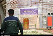 افتتاح بزرگترین گلخانه سلولزی جنوب‌شرق کشور در شهرداری کرمان