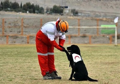 تجهیز سگ‌های زنده‌یاب هلال‌احمر به سامانه‌های هوشمند موقعیت یاب