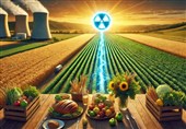 پایان وابستگی 99 درصدی به واردات بذر با «پرتودهی هسته‌ای»