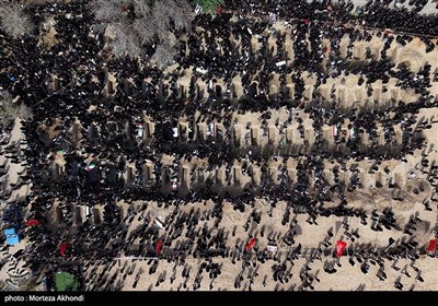 ببینید/جورج گالووی:ثبت بزرگترین کشتار دختران در تاریخ