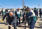 غرس نهال مقاومت در خراسان جنوبی/راه شهید با آبادانی کشور ادامه دارد