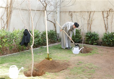 کاشت 3 نهال در اصفهان به یاد رهبر شهید انقلاب در روز درختکاری