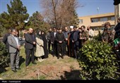 غرس نهال توسط استاندار قزوین