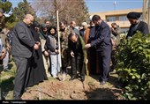 غرس نهال توسط استاندار قزوین