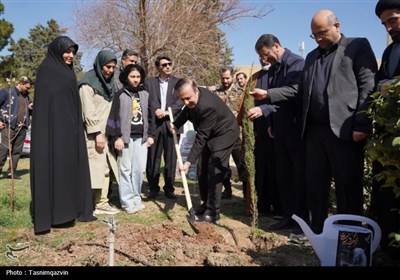 غرس نهال توسط استاندار قزوین
