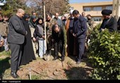 غرس نهال توسط استاندار قزوین