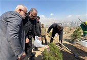 کاشت یک میلیون اصله درخت در تهران به یاد رهبر شهید و شهدای جنگ