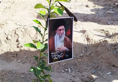 برگزاری پویش ملی «سرو ایران» همزمان با روز درختکاری