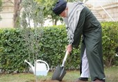 کاشت 1000 نهال در یزد به یاد رهبر شهید انقلاب