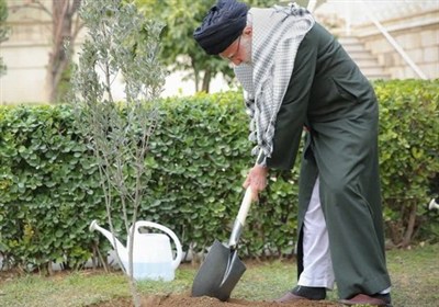 کاشت 1000 نهال در یزد به یاد رهبر شهید انقلاب