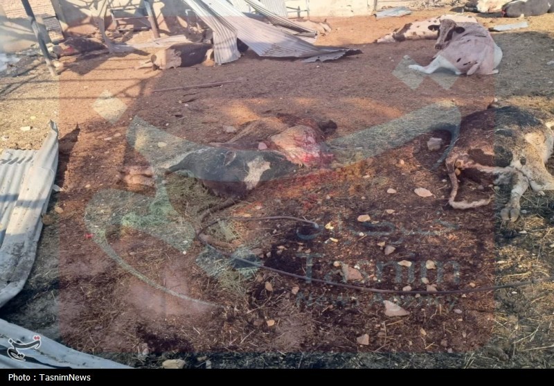 اخبار آران و بیدگل , حمله اسرائیل به ایران , شهادت , 