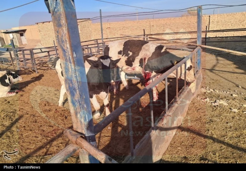 اخبار آران و بیدگل , حمله اسرائیل به ایران , شهادت , 