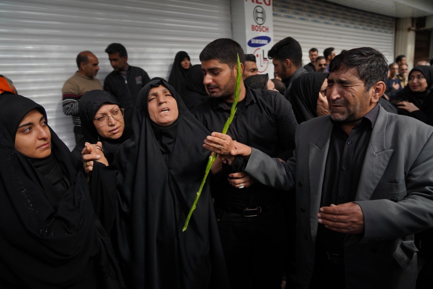 اخبار شیراز , اخبار استان فارس ,