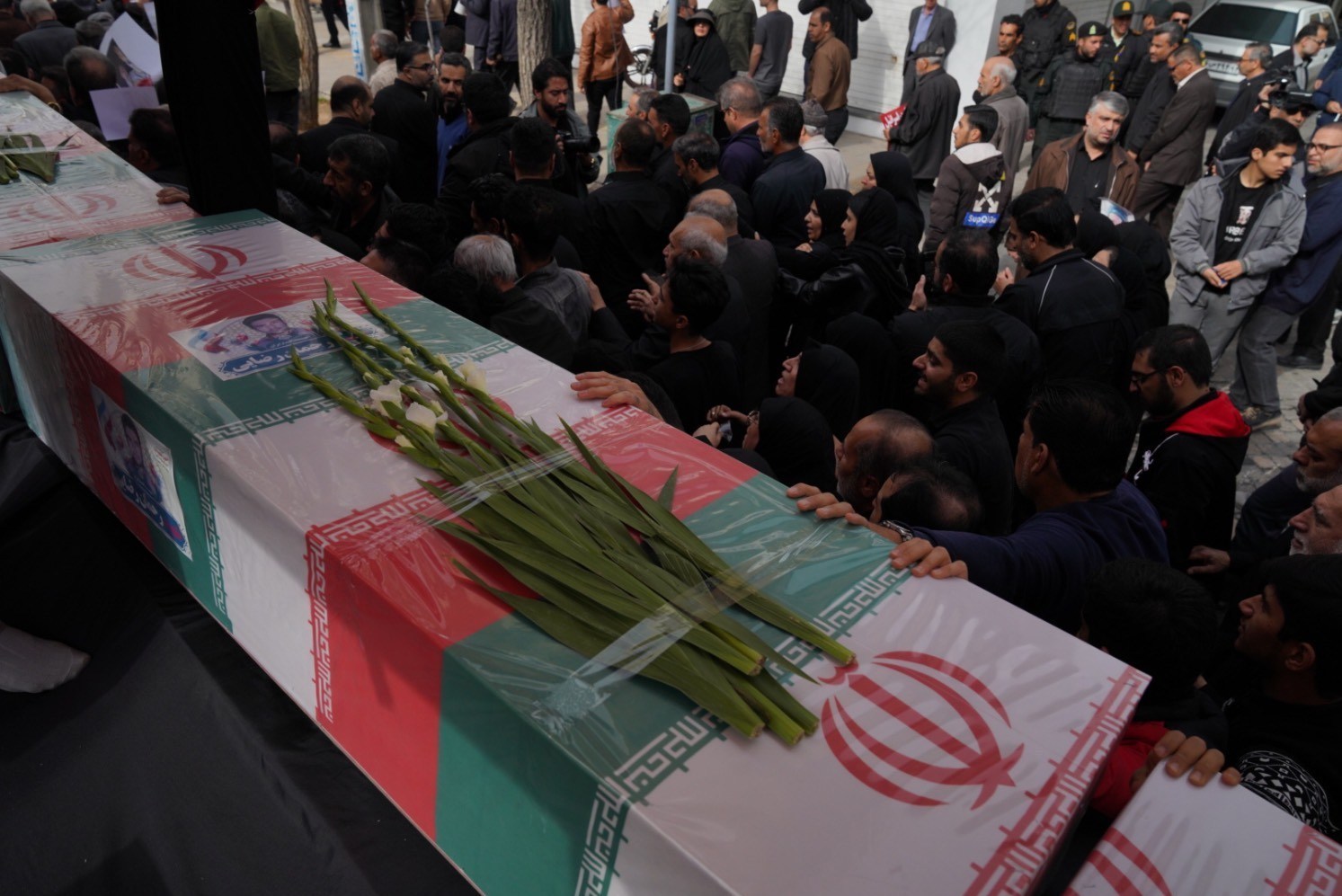 اخبار شیراز , اخبار استان فارس ,