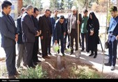 کاشت 5هزار درخت از طرف رهبر شهید در مدارس استان کرمان