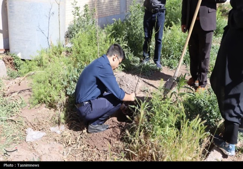 استان کرمان , اخبار استان کرمان , مدرسه , روز درختکاری , شهید , رهبر انقلاب , 