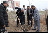 کاشت 85 نهال در شریف‌آباد به یاد رهبر شهید انقلاب