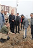 آیین کاشت 85 نهال در شریف‌آباد به یاد رهبر شهید انقلاب