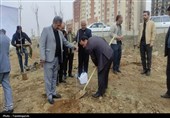 آیین کاشت 85 نهال در شریف‌آباد به یاد رهبر شهید انقلاب