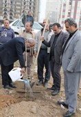 آیین کاشت 85 نهال در شریف‌آباد به یاد رهبر شهید انقلاب