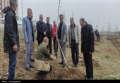 آیین کاشت 85 نهال در شریف‌آباد به یاد رهبر شهید انقلاب
