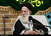 آیت‌الله شبیری زنجانی: با همراهی مردم و‌عنایت خداوند مشکلات حل می‌شود