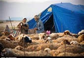 آغاز کوچ بهاره عشایر خراسان رضوی به مراتع سردسیر