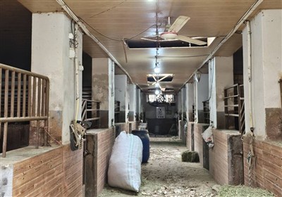 آسیب به مجموعه تاریخی فرح آباد و ساختمان فدراسیون چوگان