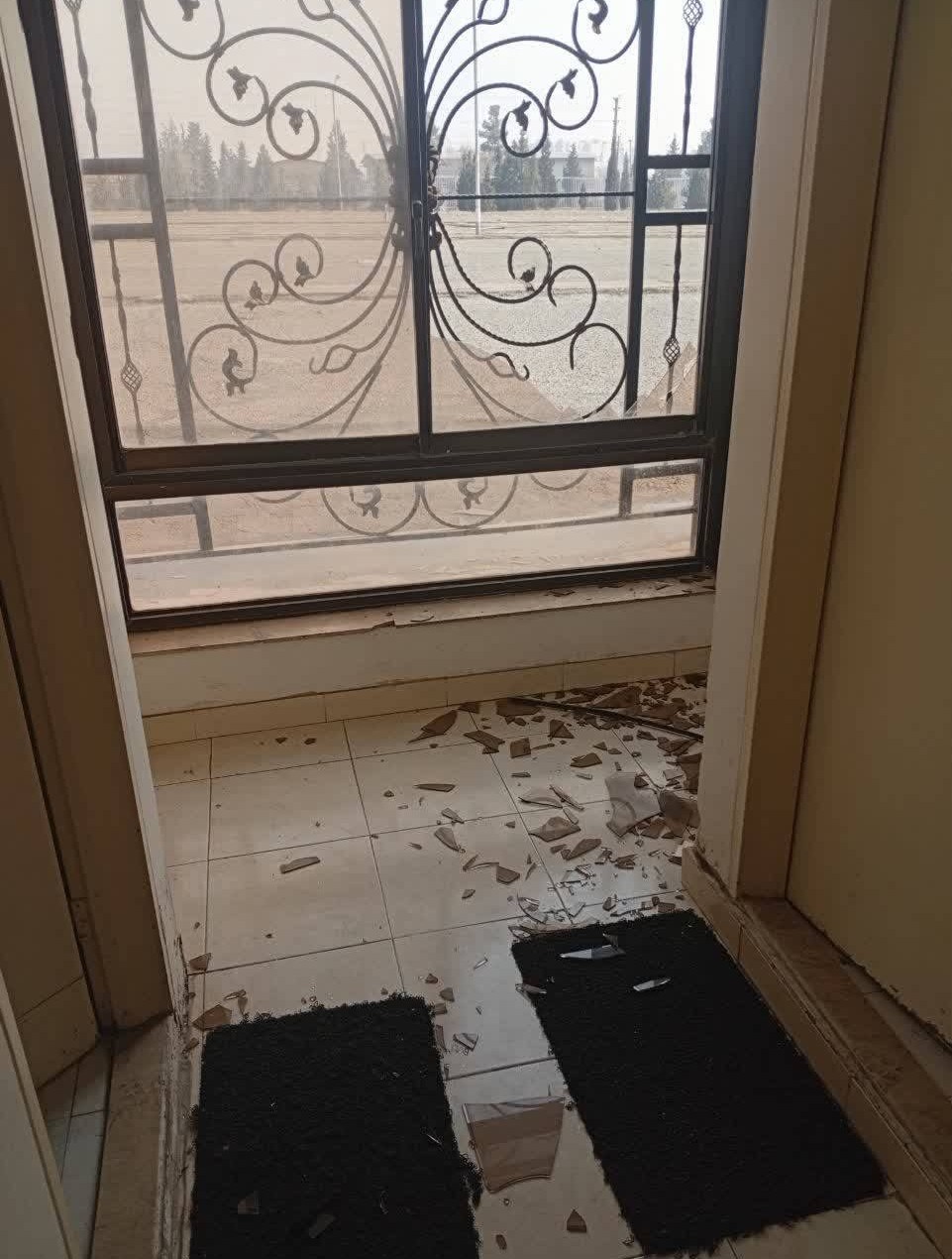 ووشو , ووشو ایران , 