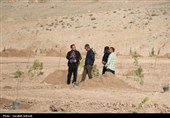 آغاز پویش بزرگ نهال‌کاری در کرمان به یاد رهبر شهید انقلاب